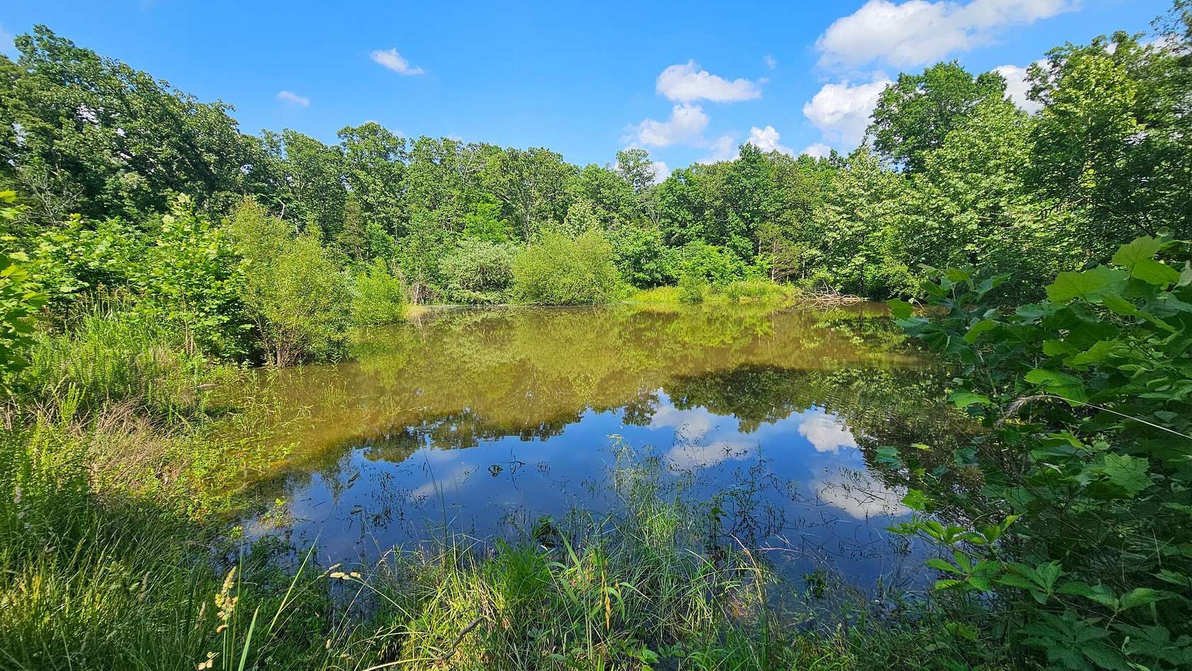 35 Acres of Recreational & Residential Land for Sale in Brixey, Missouri