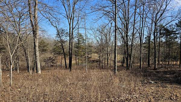 35 Acres of Land for Sale in Brixey, Missouri
