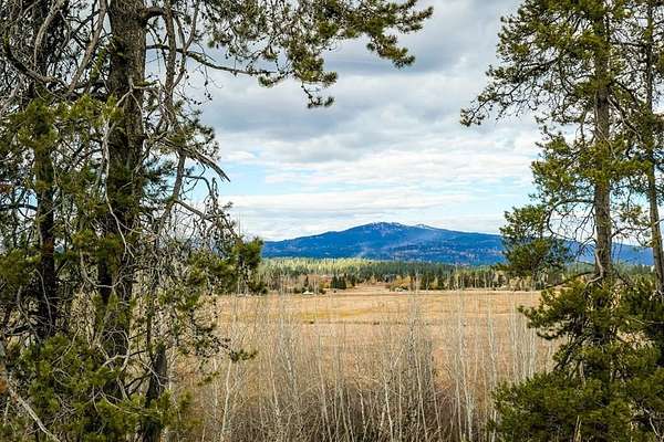 3 Acres of Residential Land for Sale in McCall, Idaho
