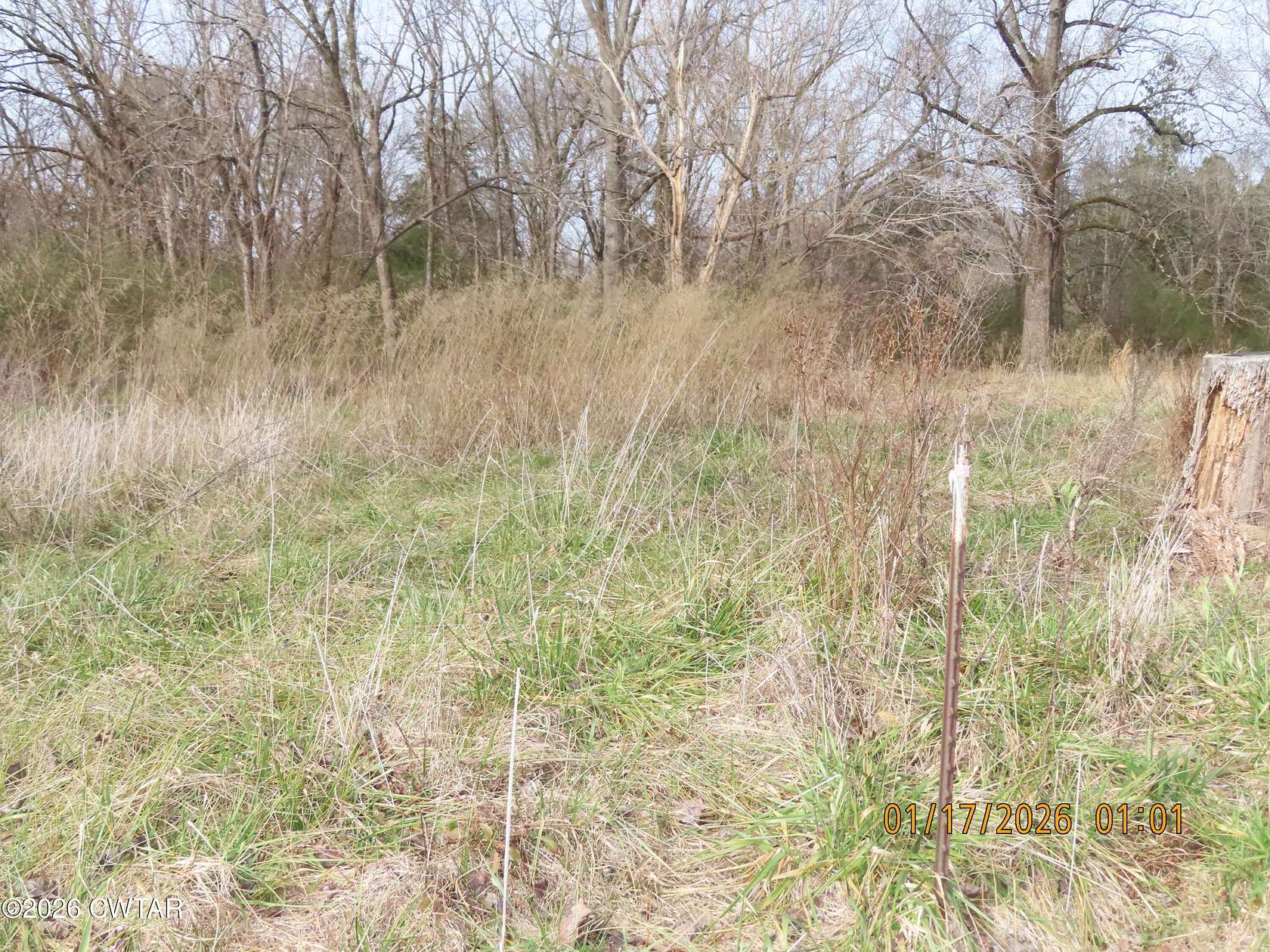 Residential Land for Sale in Saulsbury, Tennessee