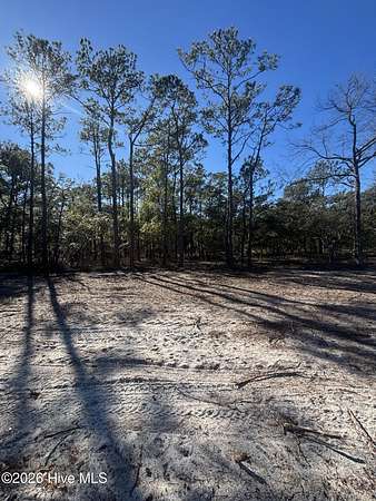 0.31 Acres of Residential Land for Sale in Southport, North Carolina
