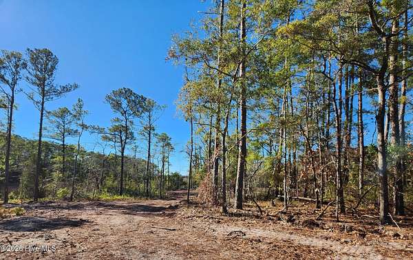 0.48 Acres of Residential Land for Sale in Southport, North Carolina