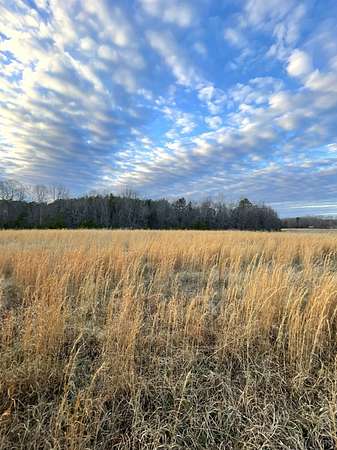 10 Acres of Agricultural Land for Sale in Brookneal, Virginia