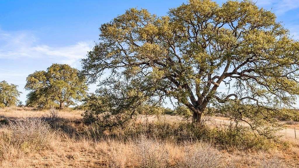 10.1 Acres of Land for Sale in Johnson City, Texas