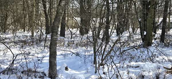 0.31 Acres of Residential Land for Sale in Albrightsville, Pennsylvania