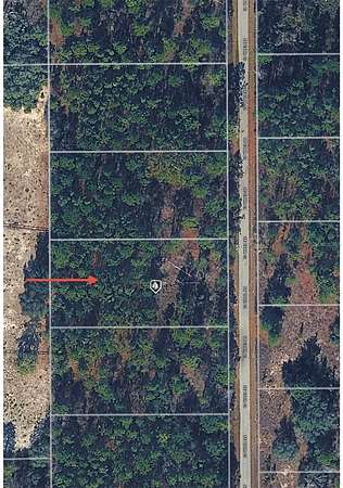 1 Acre of Land for Sale in Dunnellon, Florida