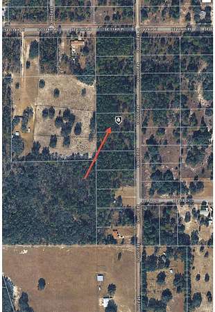 1 Acre of Land for Sale in Dunnellon, Florida