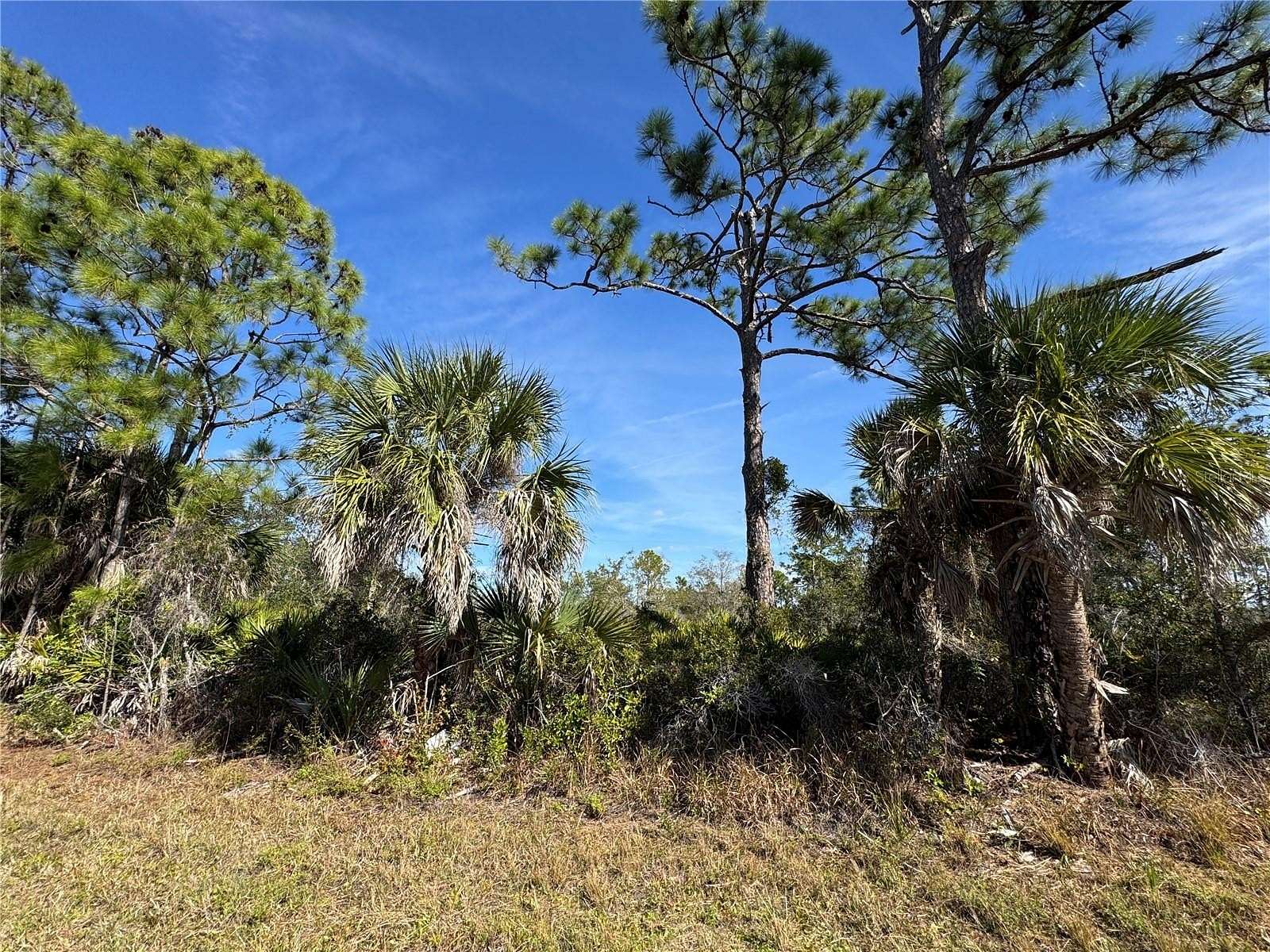 0.23 Acres of Residential Land for Sale in Port Charlotte, Florida