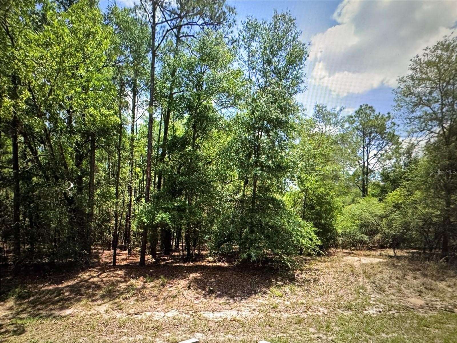 0.23 Acres of Residential Land for Sale in Dunnellon, Florida