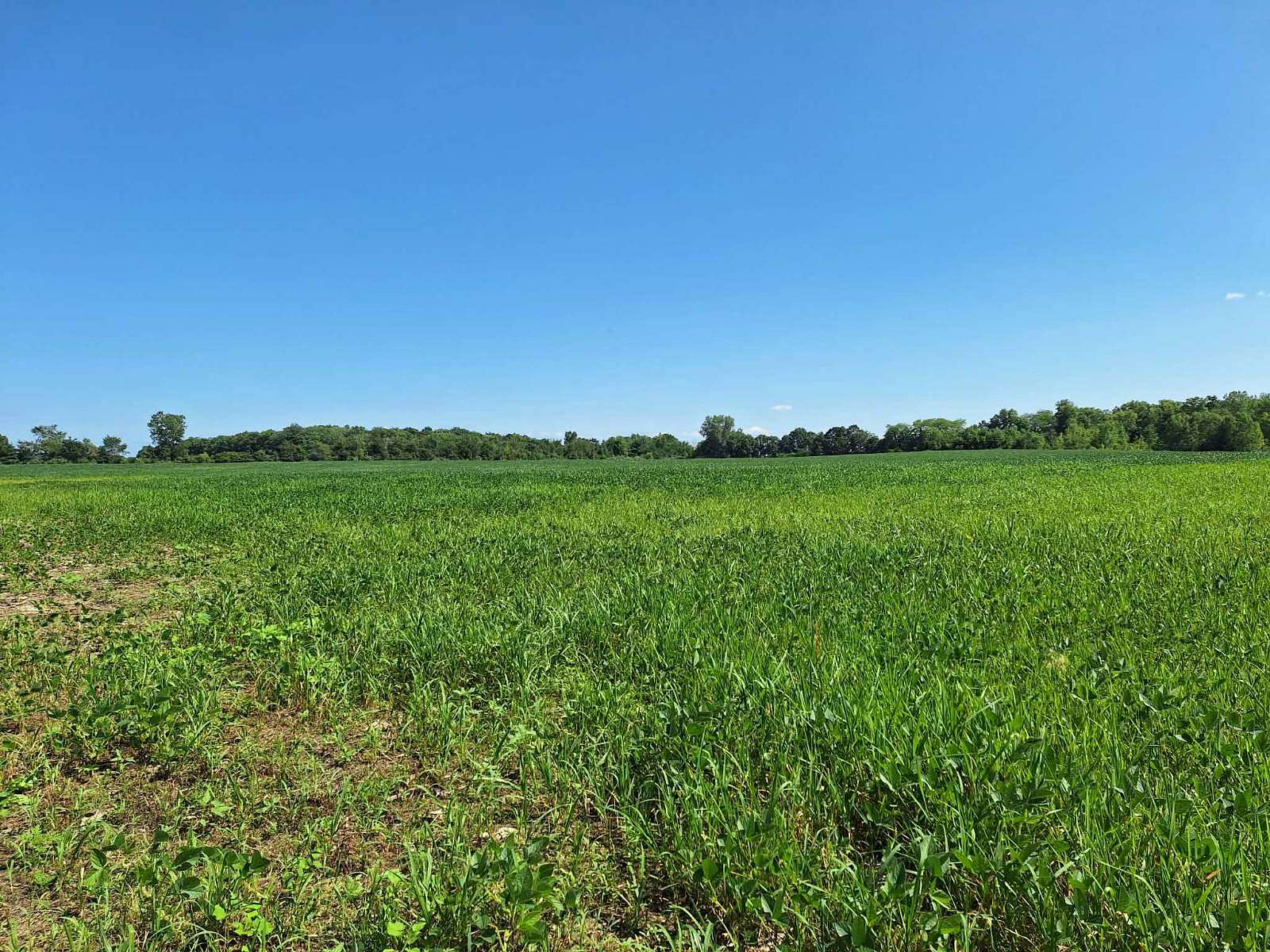 18 Acres of Land for Sale in Butler, Indiana