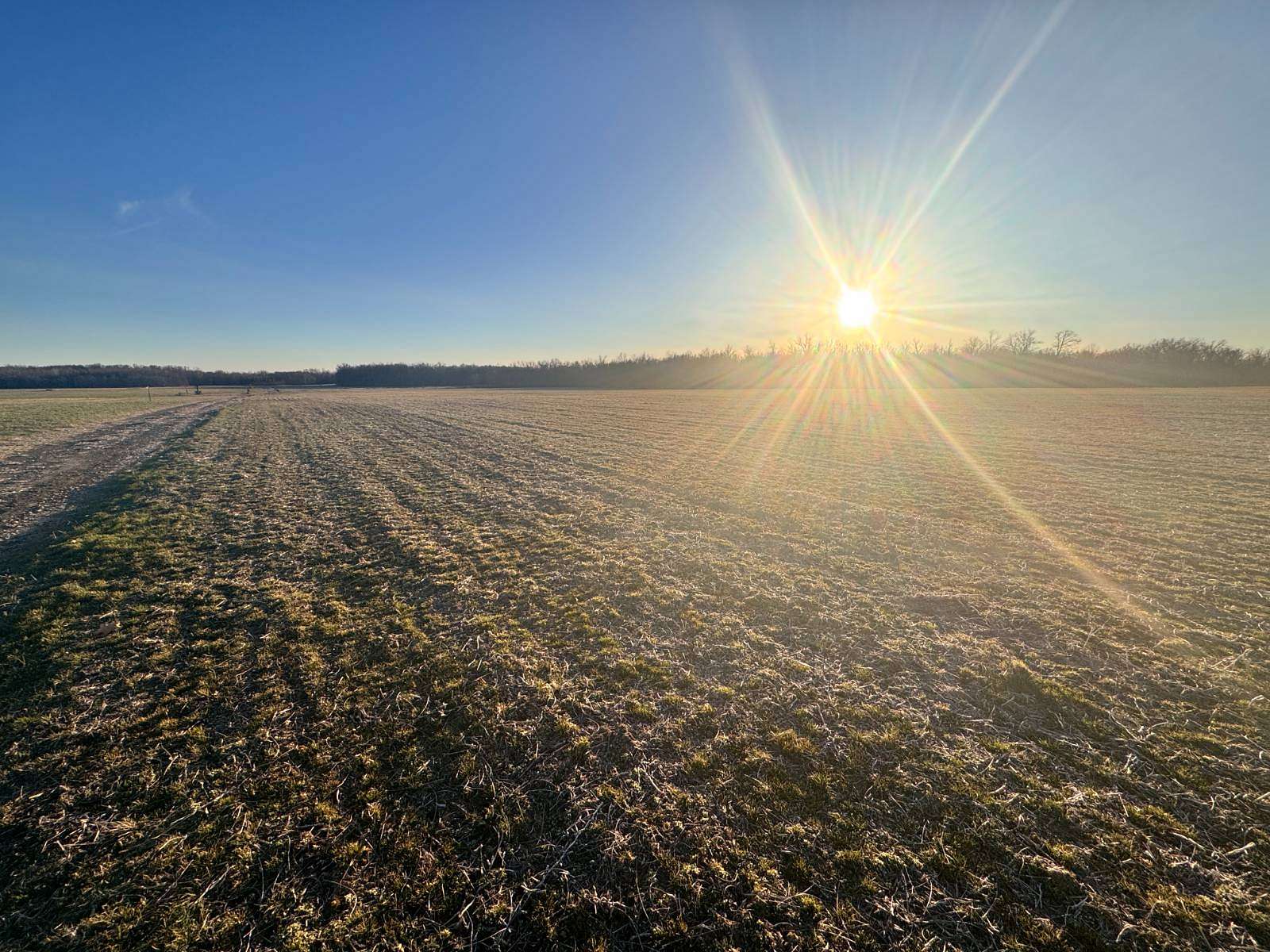 50 Acres of Agricultural Land for Sale in Omaha, Illinois