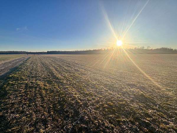 50 Acres of Agricultural Land for Sale in Omaha, Illinois