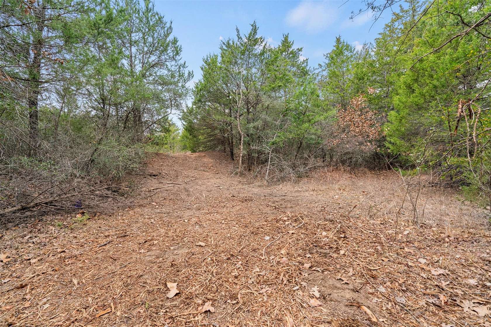 5 Acres of Residential Land for Sale in Milano, Texas