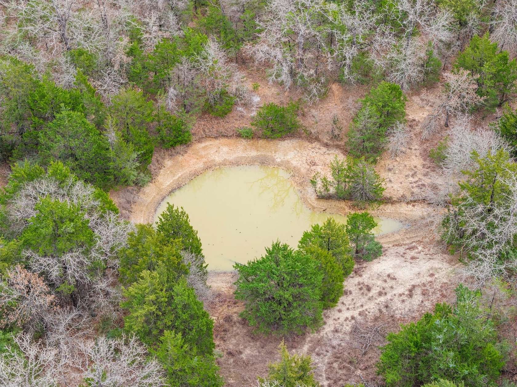 5 Acres of Residential Land for Sale in Milano, Texas
