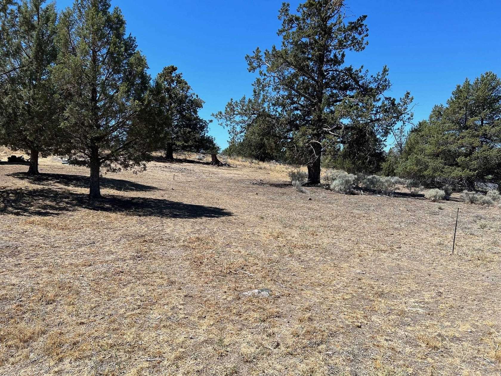 0.33 Acres of Residential Land for Sale in Weed, California
