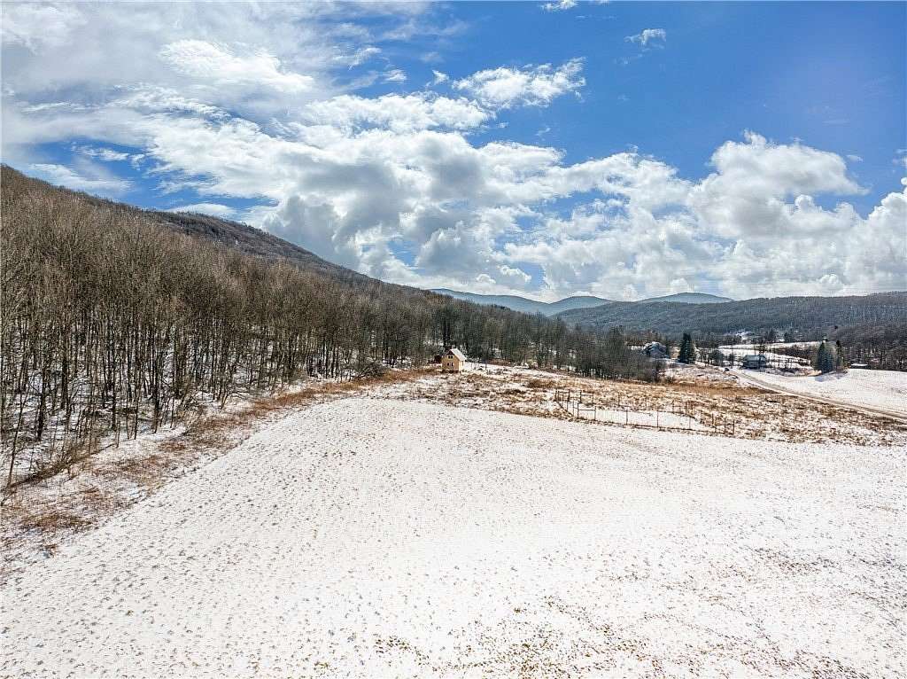 31.2 Acres of Agricultural Land for Sale in South Kortright, New York