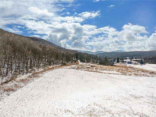 31.2 Acres of Agricultural Land for Sale in South Kortright, New York