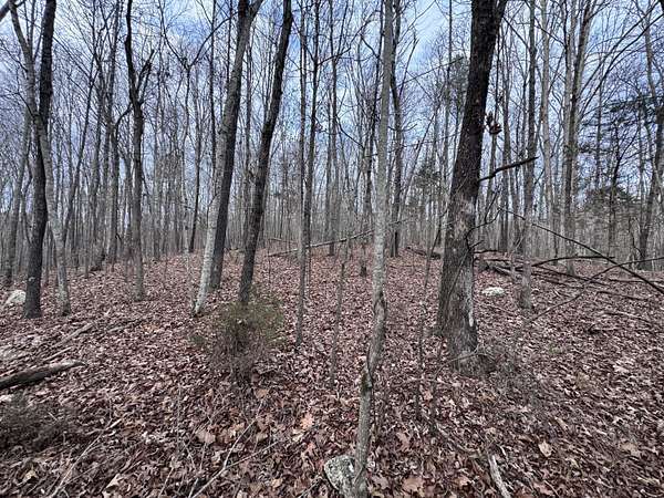 5 Acres of Residential Land for Sale in Birchwood, Tennessee
