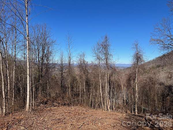 0.78 Acres of Land for Sale in Leicester, North Carolina