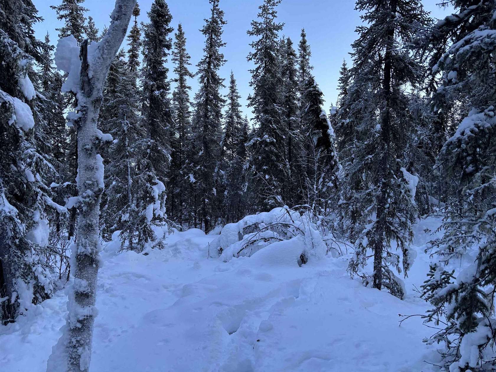 2.5 Acres of Residential Land for Sale in Fairbanks, Alaska