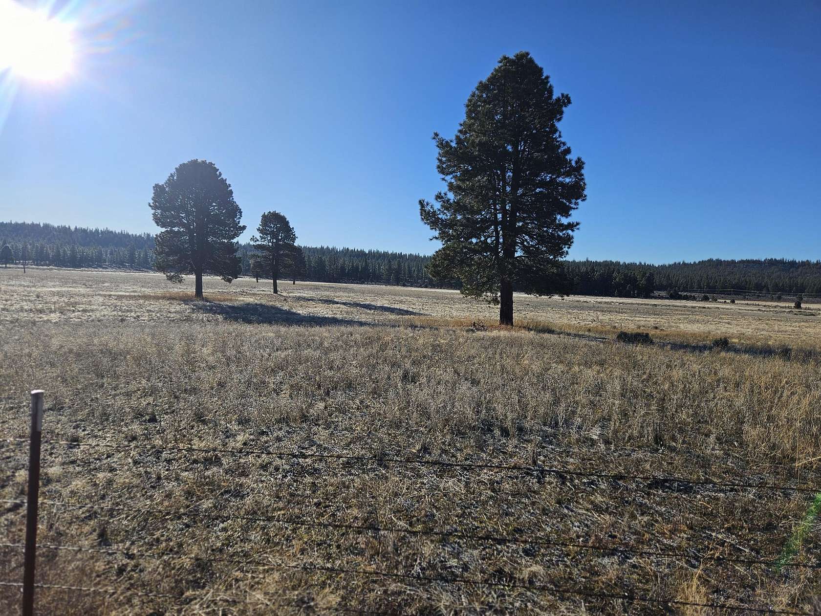 100 Acres of Land for Sale in Beatty, Oregon