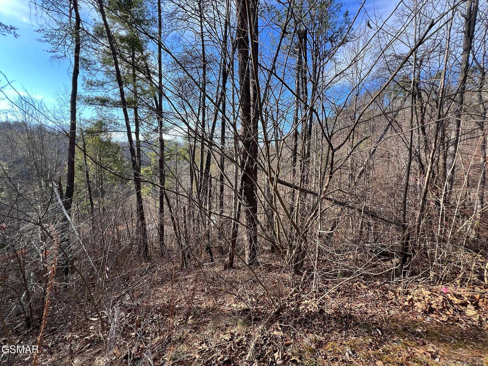 0.5 Acres of Residential Land for Sale in Sevierville, Tennessee
