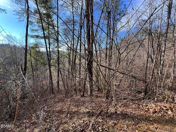 0.5 Acres of Residential Land for Sale in Sevierville, Tennessee