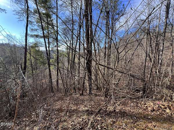 0.5 Acres of Residential Land for Sale in Sevierville, Tennessee