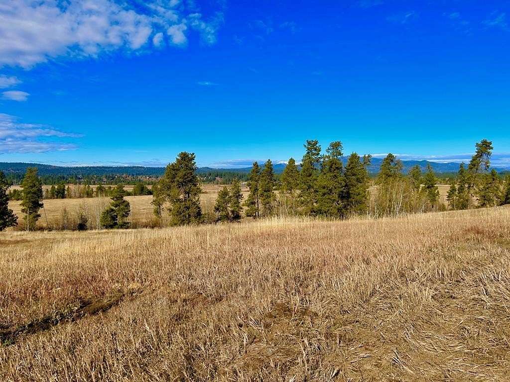 1.13 Acres of Residential Land for Sale in McCall, Idaho