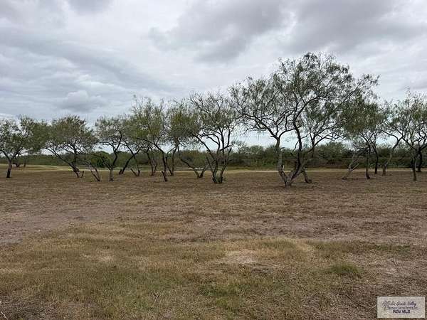 0.34 Acres of Residential Land for Sale in Olmito, Texas