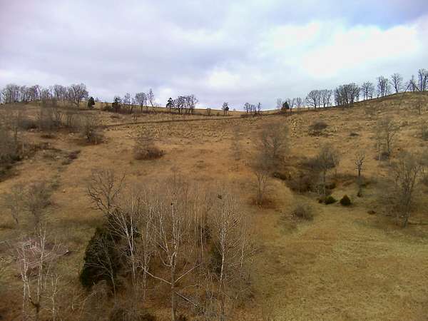 43.8 Acres of Recreational Land for Sale in Eidson, Tennessee