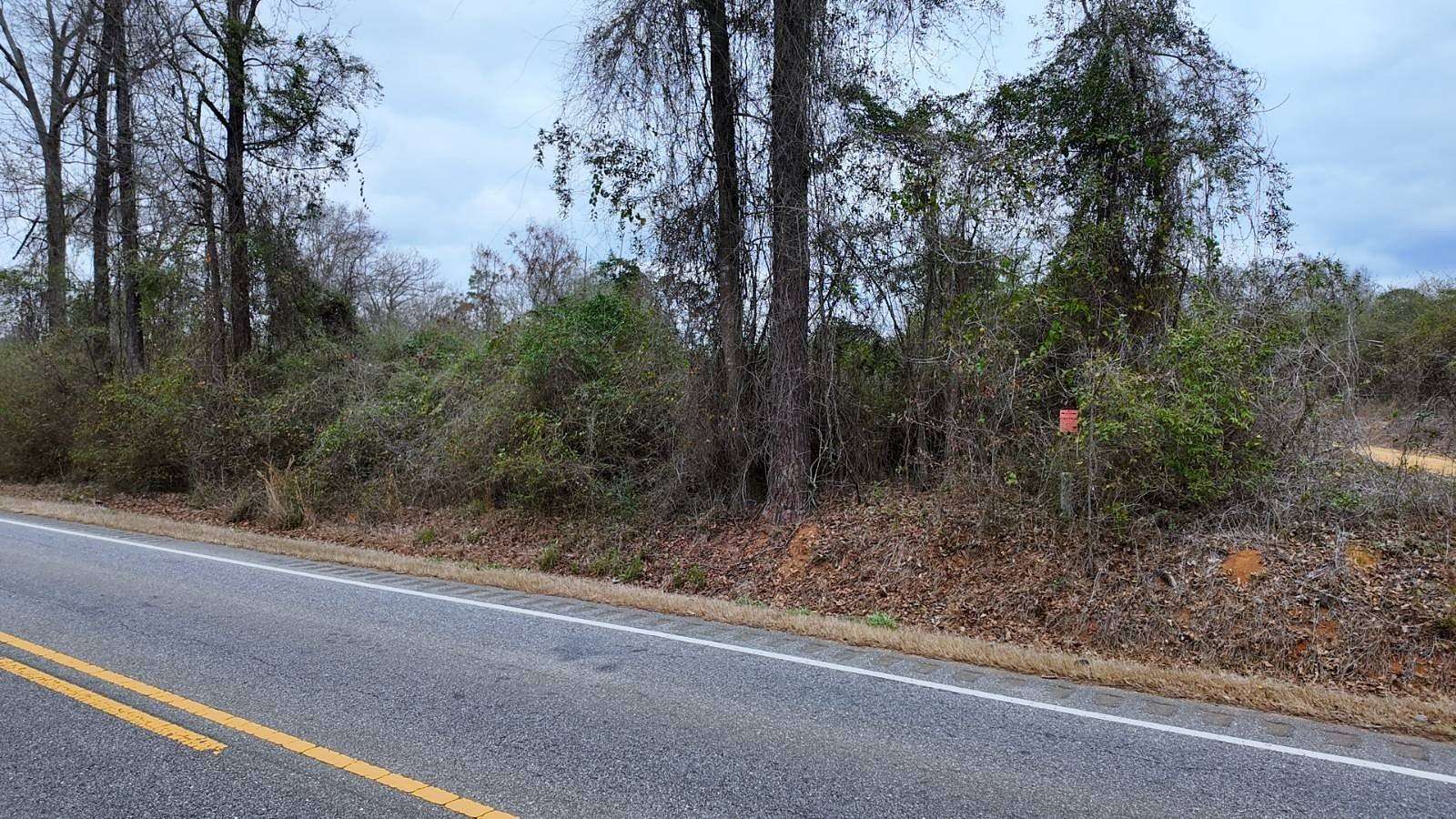 3.19 Acres of Land for Sale in Luverne, Alabama