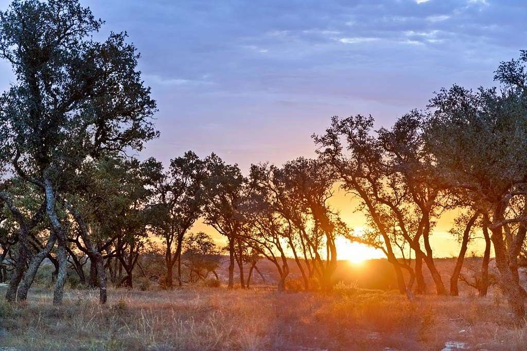 7 Acres of Agricultural Land for Sale in Johnson City, Texas