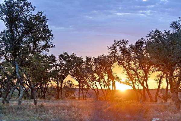 7 Acres of Residential Land for Sale in Johnson City, Texas