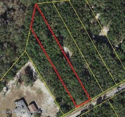 2.75 Acres of Residential Land for Sale in Webster, Florida