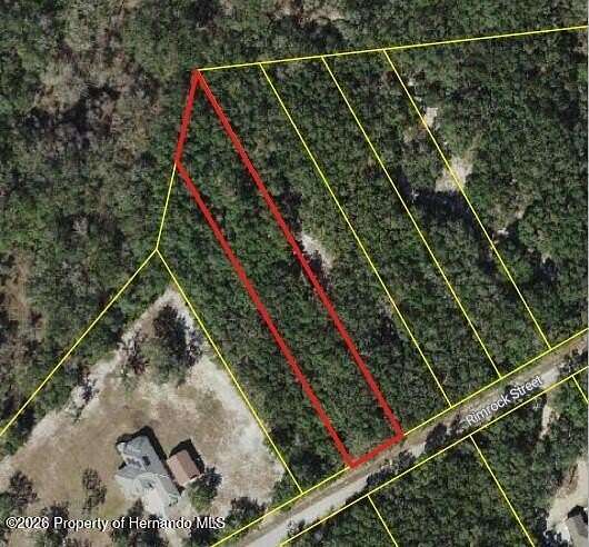 0.74 Acres of Residential Land for Sale in Webster, Florida