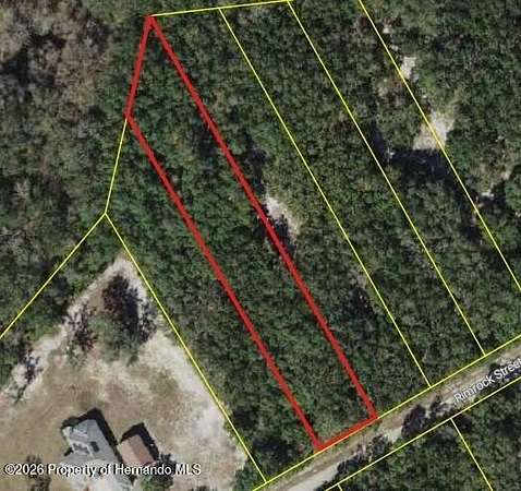 0.74 Acres of Residential Land for Sale in Webster, Florida