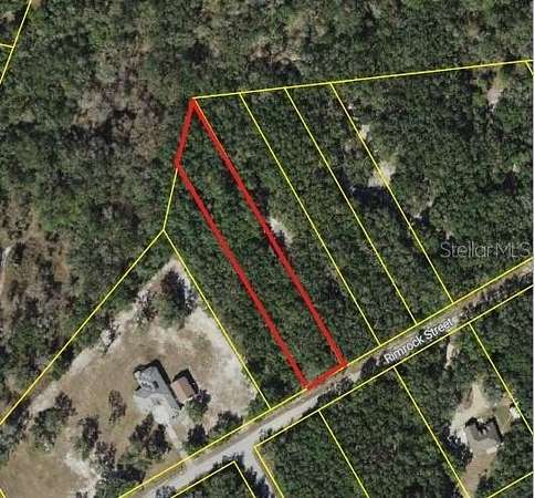 2.75 Acres of Residential Land for Sale in Webster, Florida