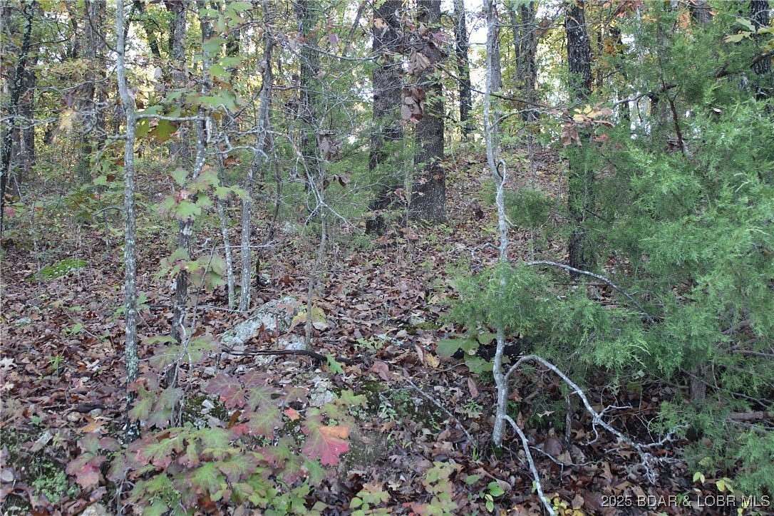 0.2 Acres of Residential Land for Sale in Rocky Mount, Missouri