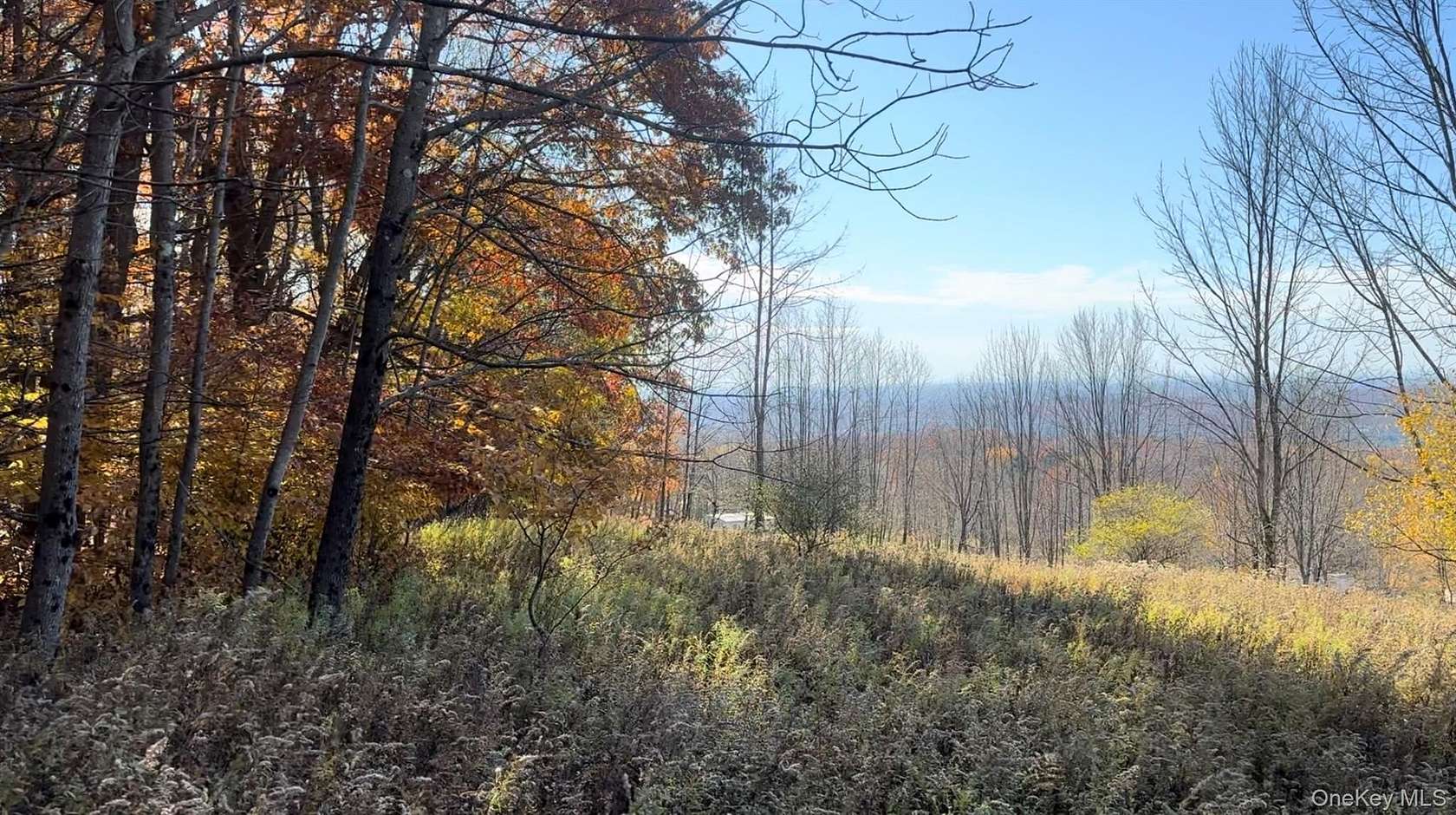 5.1 Acres of Land for Sale in Liberty, New York