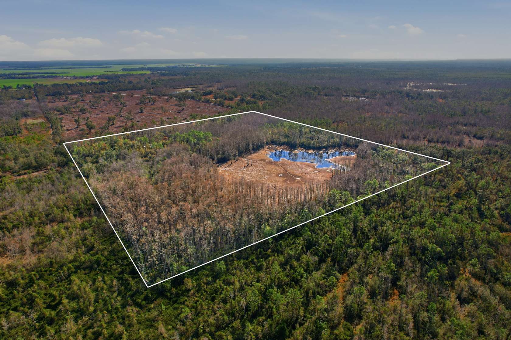 40 Acres of Recreational Land for Sale in Lee, Florida
