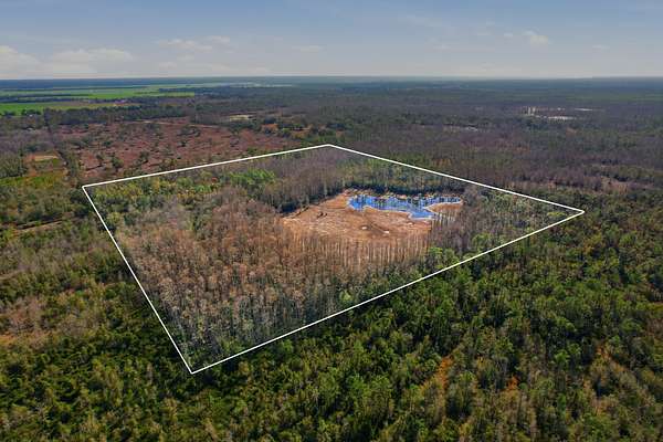 40 Acres of Recreational Land for Sale in Lee, Florida
