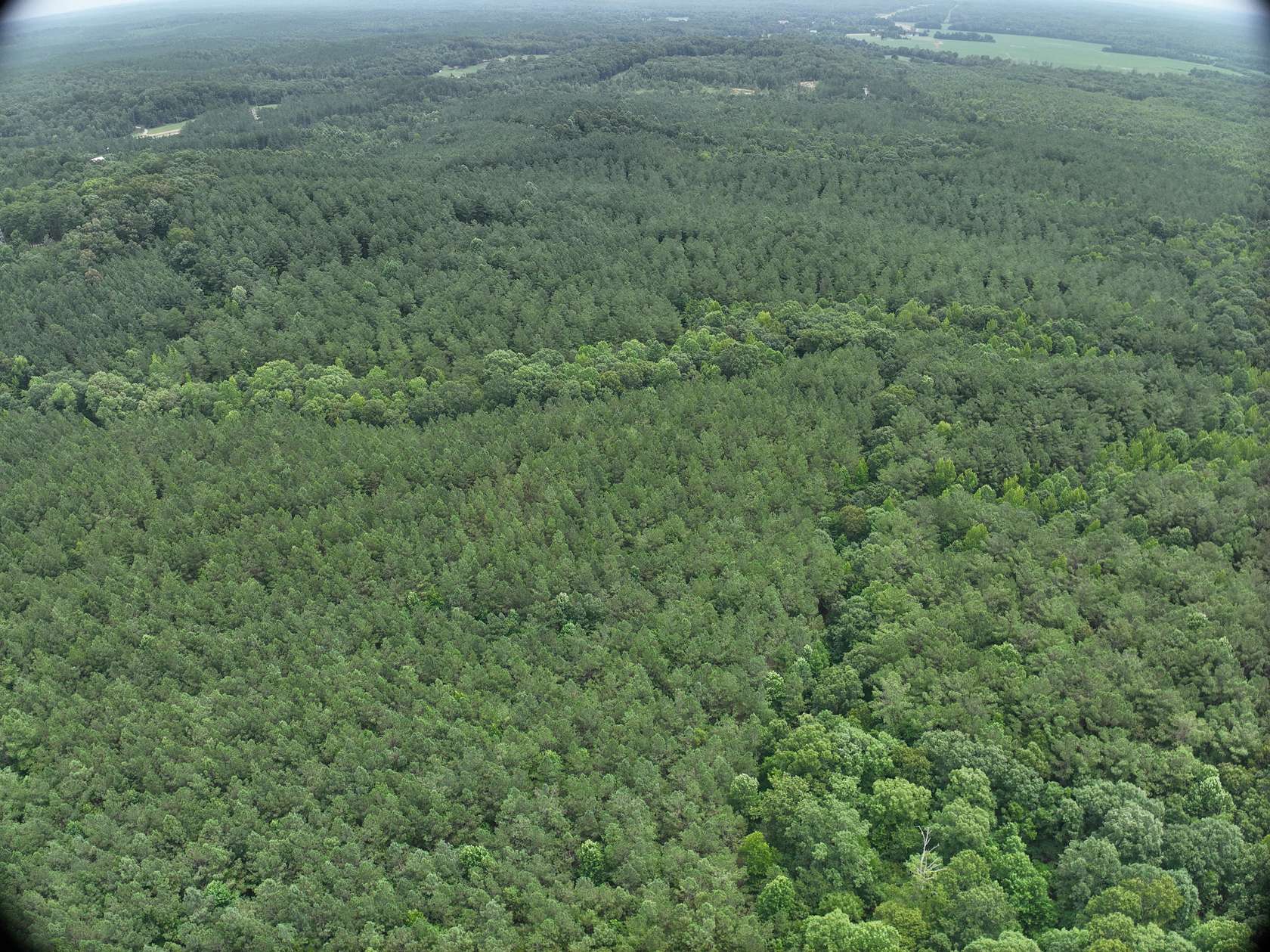 213 Acres of Improved Recreational Land for Sale in Hornsby, Tennessee
