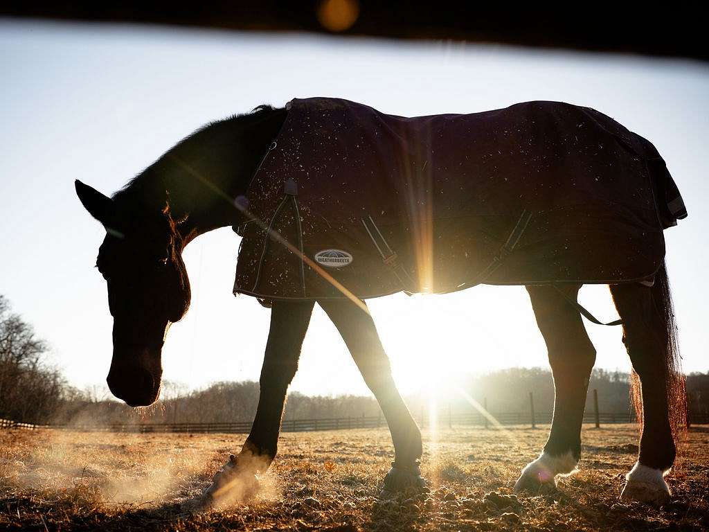 75.4 Acres of Recreational Land & Farm for Sale in Franklin, Tennessee