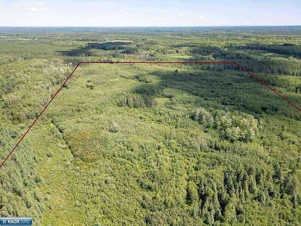 80 Acres of Land for Sale in Cotton, Minnesota