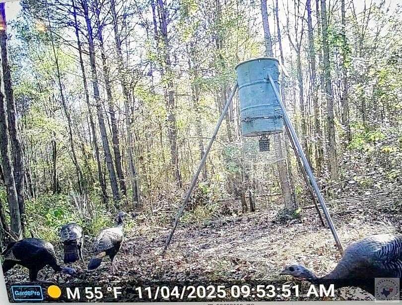 38.1 Acres of Recreational Land & Farm for Sale in De Kalb, Texas