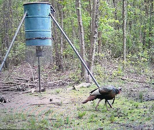 38.1 Acres of Recreational Land & Farm for Sale in De Kalb, Texas