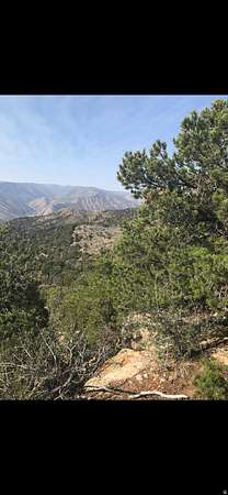 30 Acres of Land for Sale in Fruitland, Utah