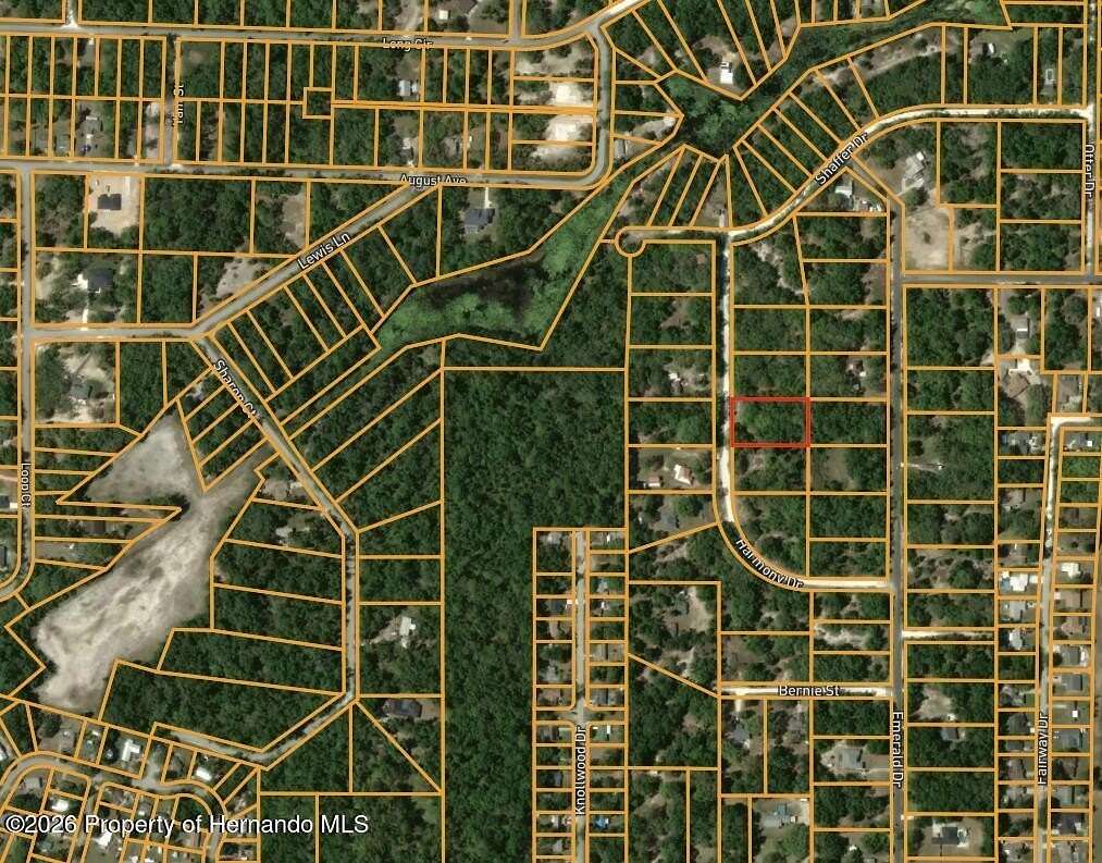 1 Acre of Residential Land for Sale in Dade City, Florida