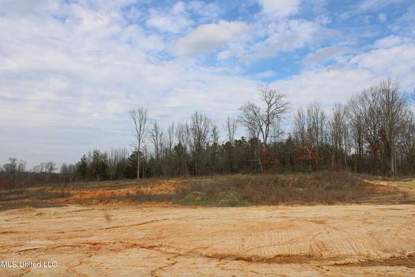 2 Acres of Residential Land for Sale in Byhalia, Mississippi